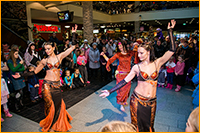 _DSC0006